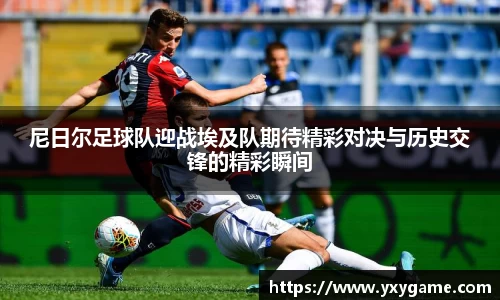 尼日尔足球队迎战埃及队期待精彩对决与历史交锋的精彩瞬间